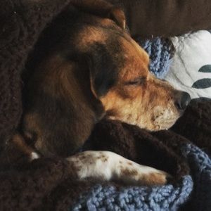 Meet your Posher, Haley